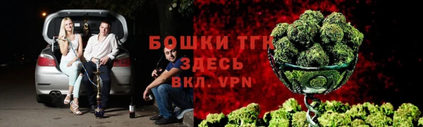 ПСИЛОЦИБИНОВЫЕ ГРИБЫ Балабаново