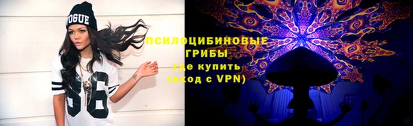 ПСИЛОЦИБИНОВЫЕ ГРИБЫ Балабаново