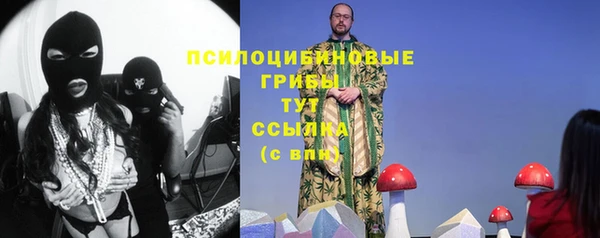 спайс Баксан