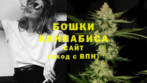спайс Баксан