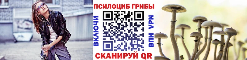 Галлюциногенные грибы мухоморы  где найти наркотики  Кимовск 