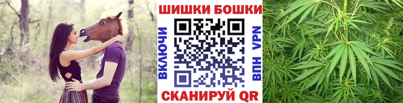 Шишки марихуана марихуана  купить  цена  Кимовск 